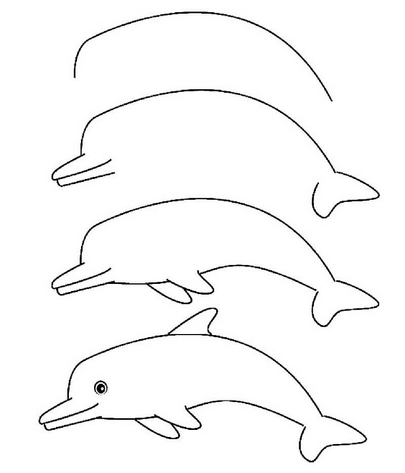 A Quick and Easy Dolphin Jak Narysować 