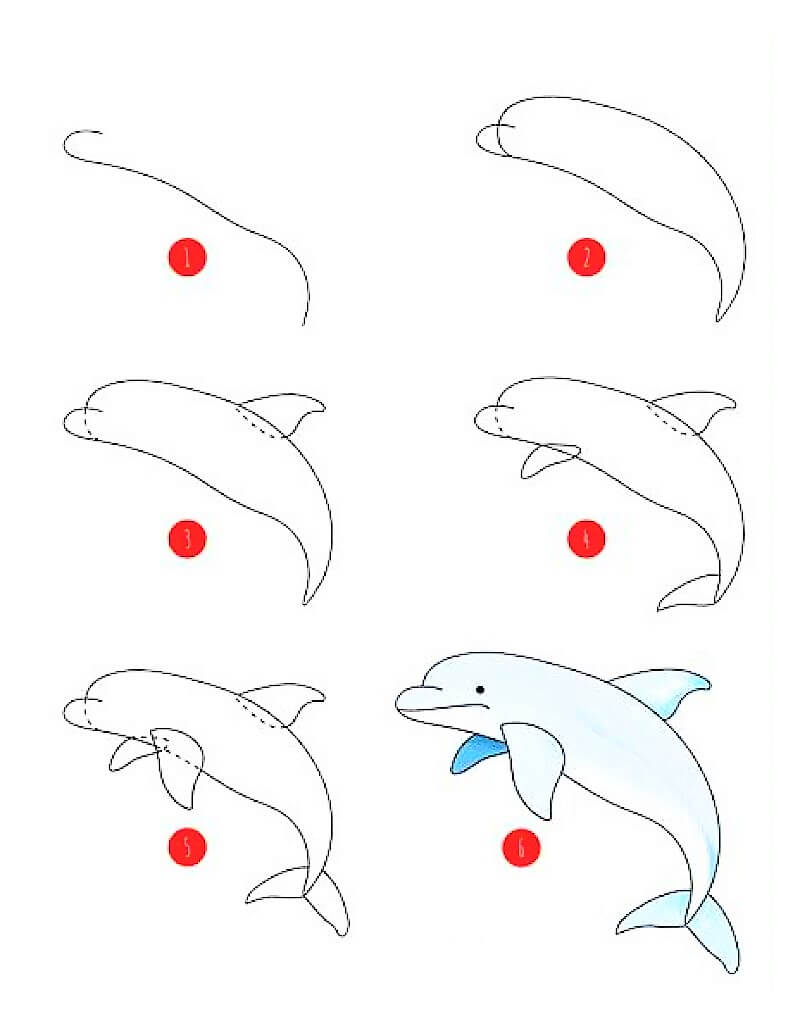 Jak Narysować Pomysł z delfinem 7