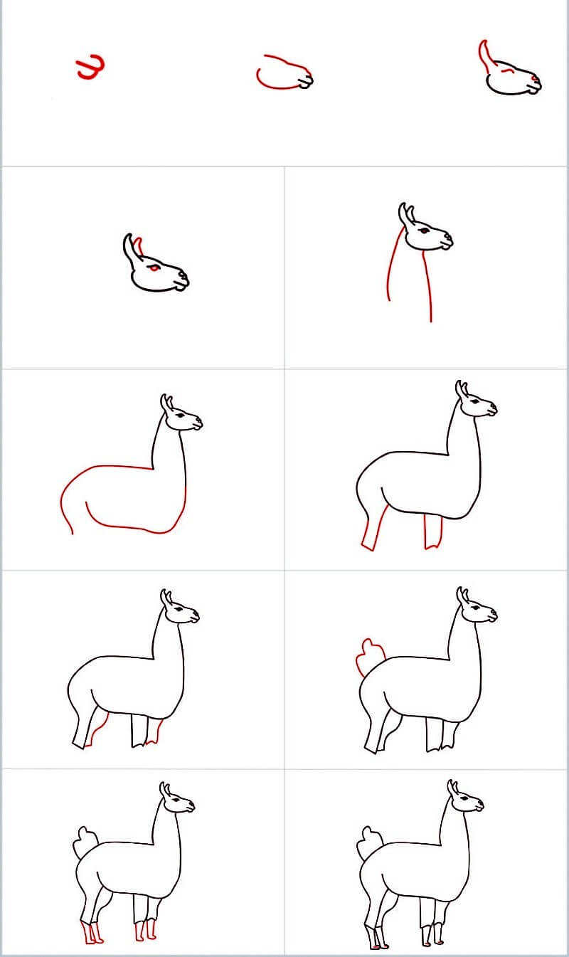 Jak Narysować A Llama Idea 8