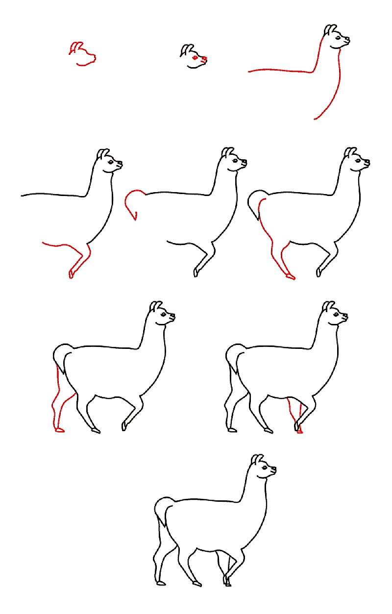 Jak Narysować An Easy Llama