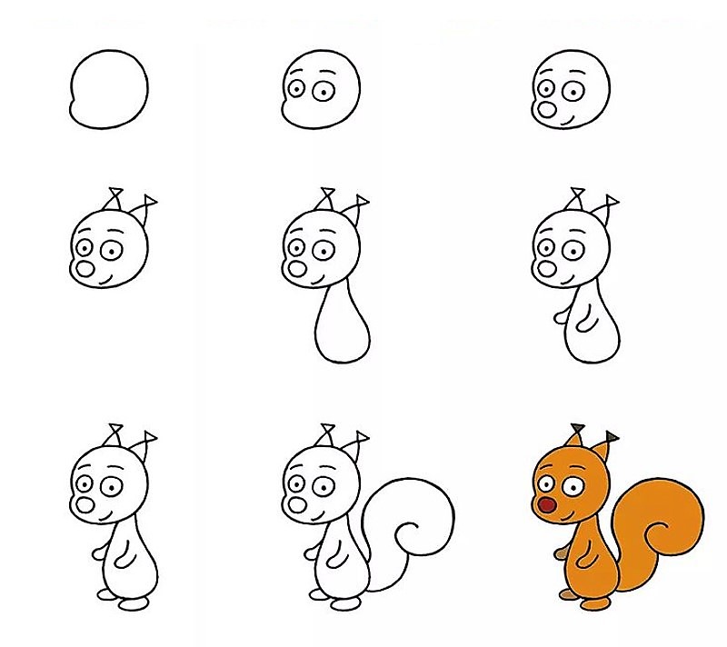 Jak Narysować A squirrel idea 10