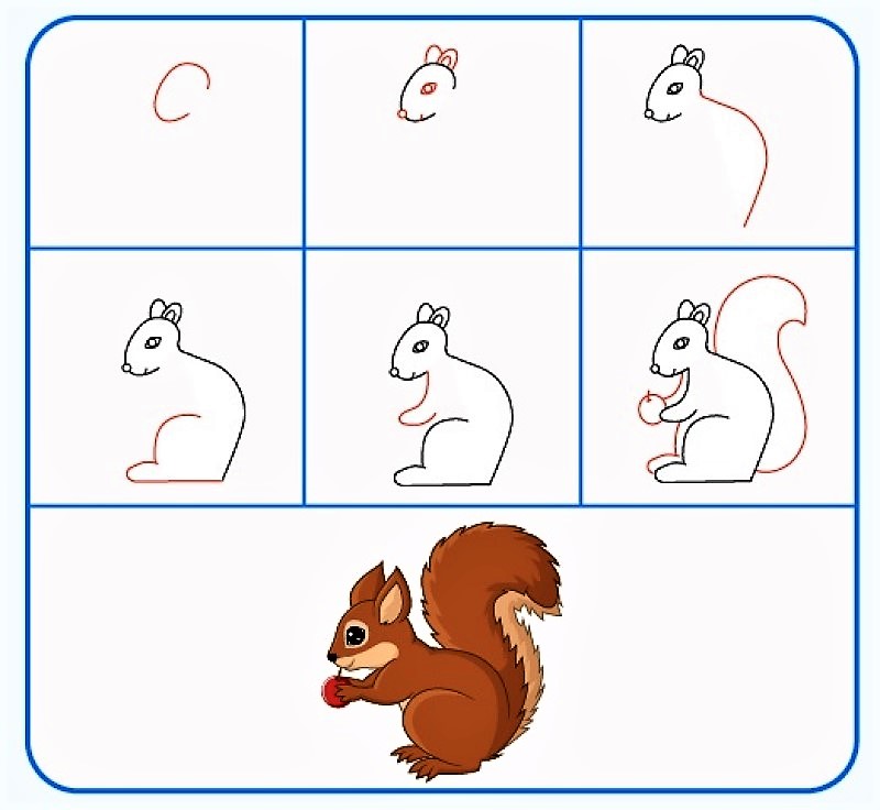 Jak Narysować A squirrel idea 11