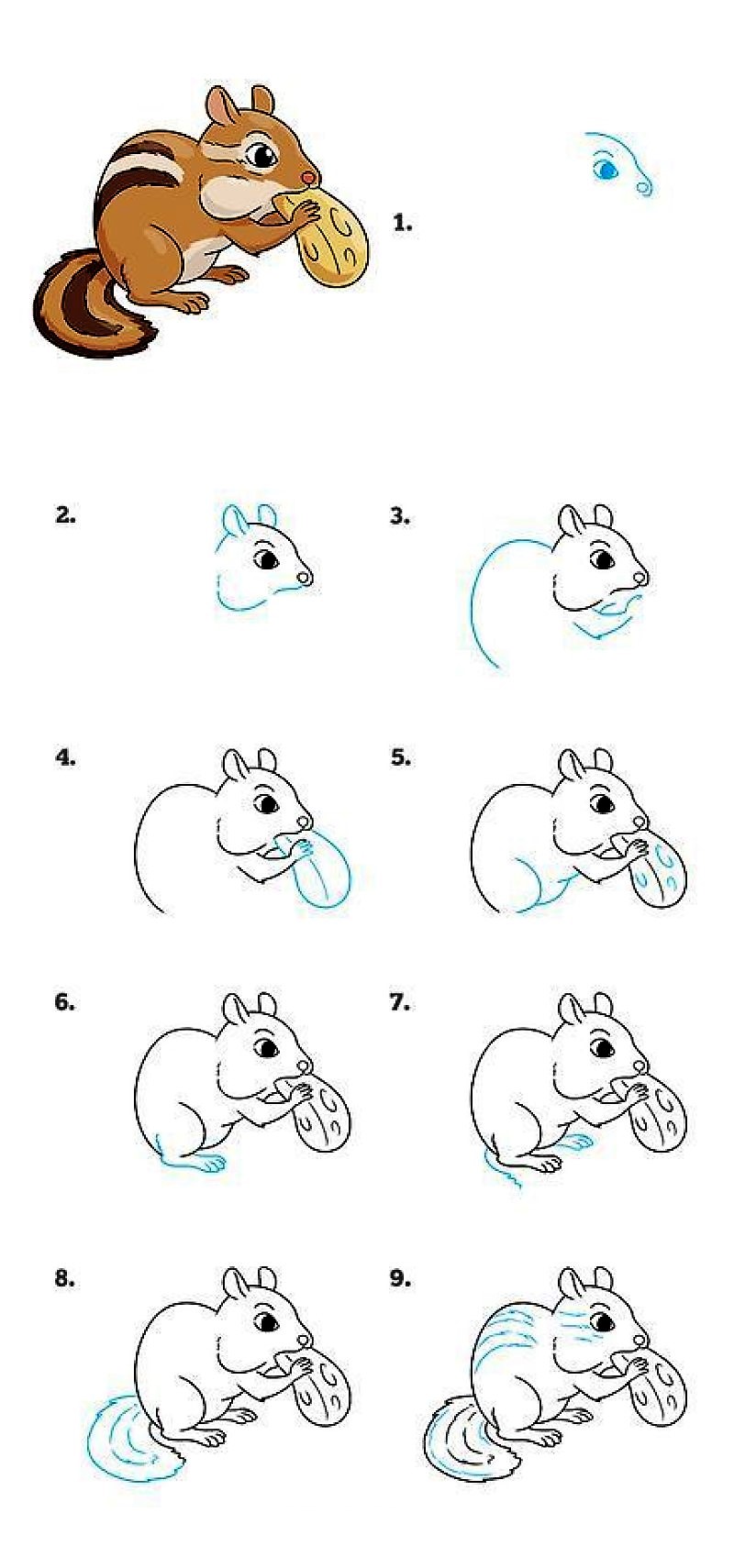 Jak Narysować A squirrel idea 3