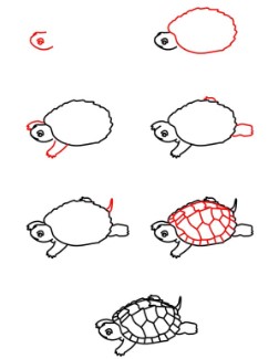 Jak Narysować A detailed turtle