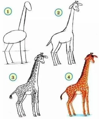 Jak Narysować Giraffe idea 3