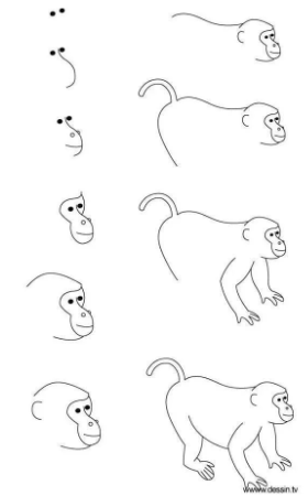 Jak Narysować Monkey idea 6