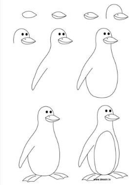 Jak Narysować Penguin idea 7