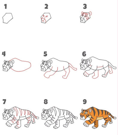 Jak Narysować Tiger idea 4