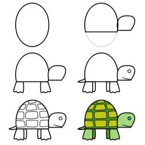 Jak Narysować Turtle idea 5