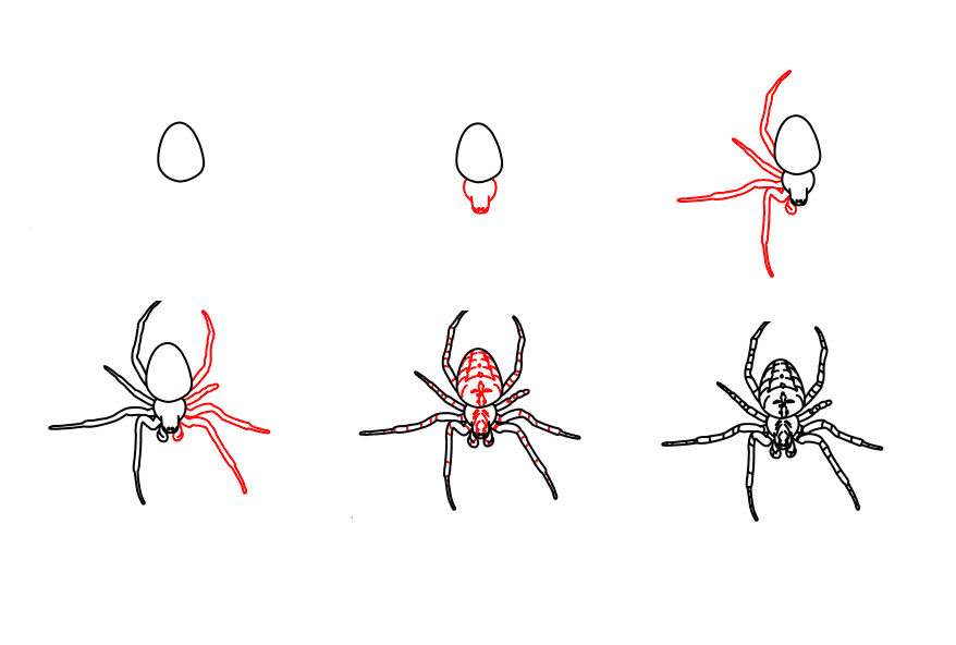 Jak Narysować A detailed step-by-step spider