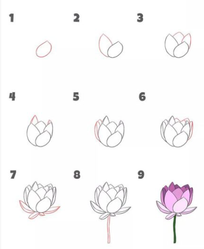 Jak Narysować A simple lotus