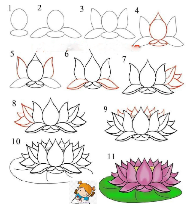 Jak Narysować Lotus idea 6