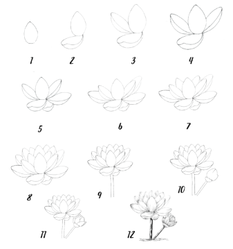 Jak Narysować Lotus idea 8