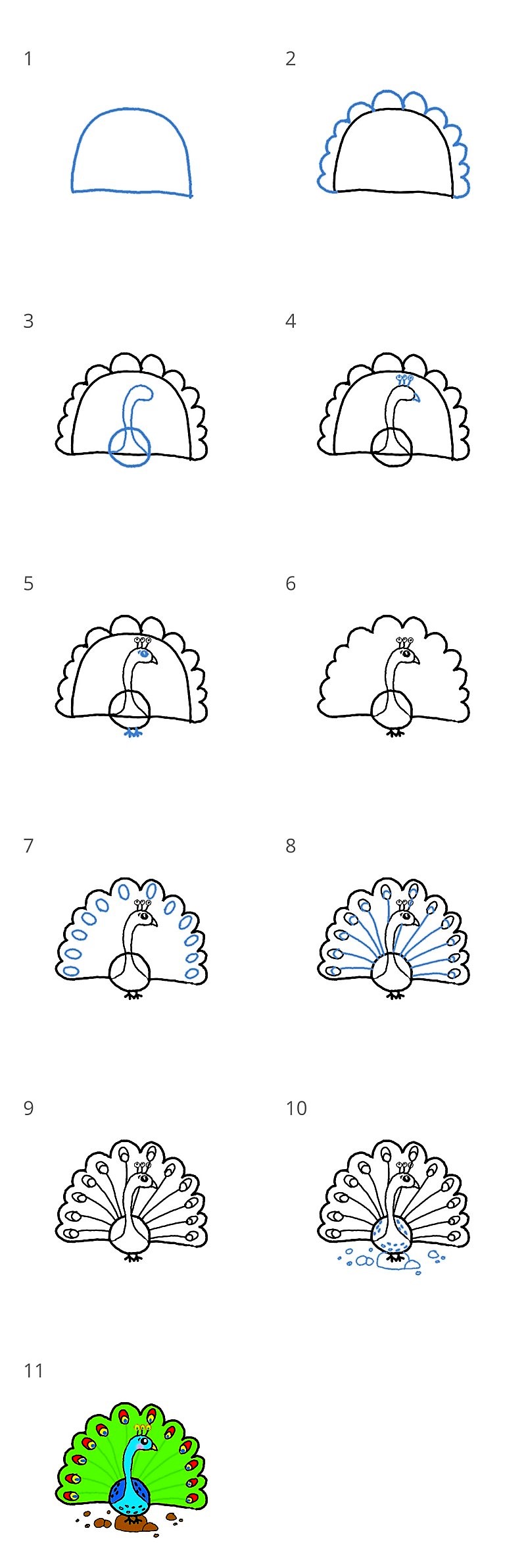 Jak Narysować Peacock idea 13