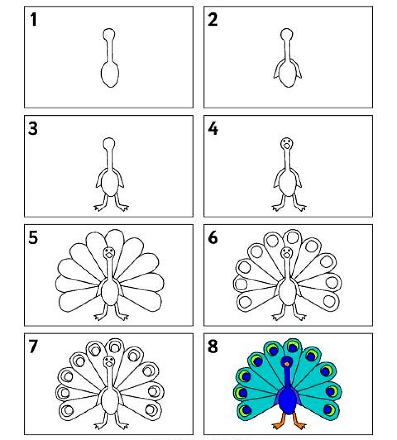 Jak Narysować Peacock idea 15