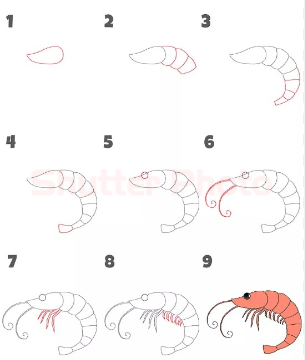 Jak Narysować Prosta krewetka