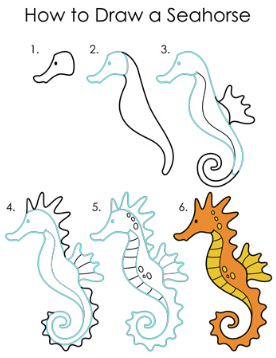 Jak Narysować Seahorse idea 11