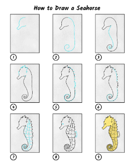 Jak Narysować Seahorse idea 9