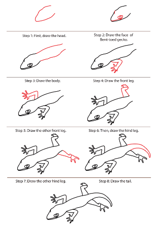 Jak Narysować A detailed step-by-step Gecko