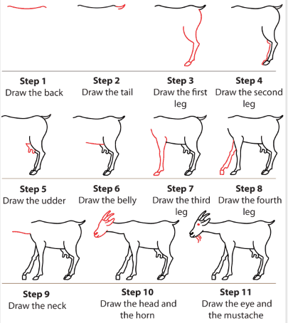 Jak Narysować A detailed step-by-step goat