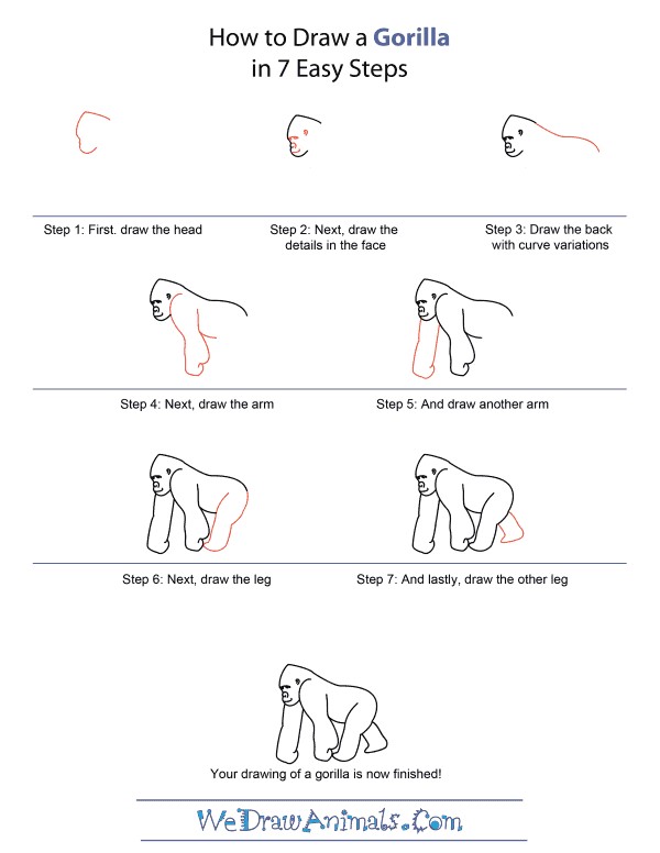 Jak Narysować A detailed step-by-step Gorilla