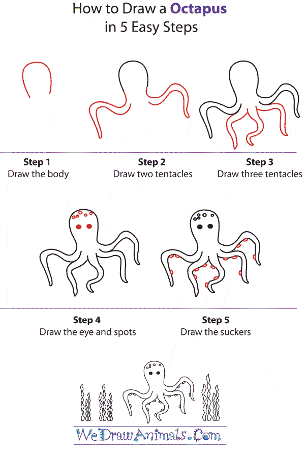 Jak Narysować An octopus detailed step by step