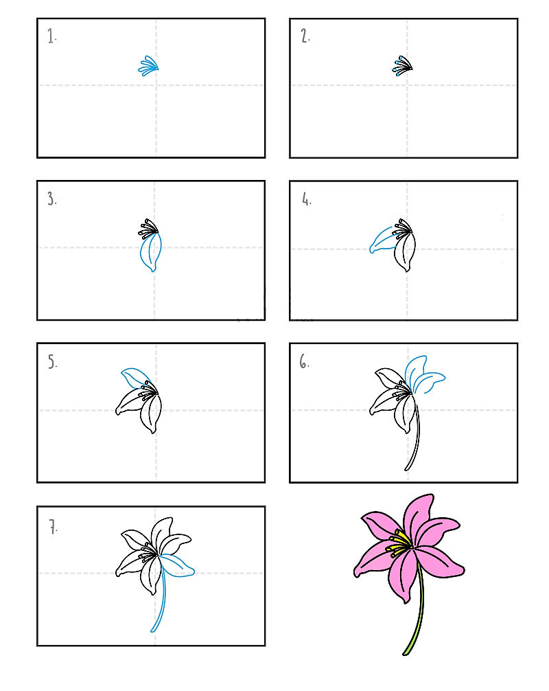 Jak Narysować Lily flower idea 9