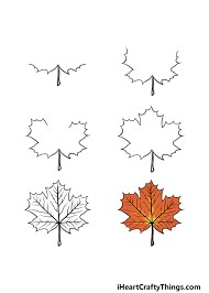 Jak Narysować Maple Leaf Idea 3