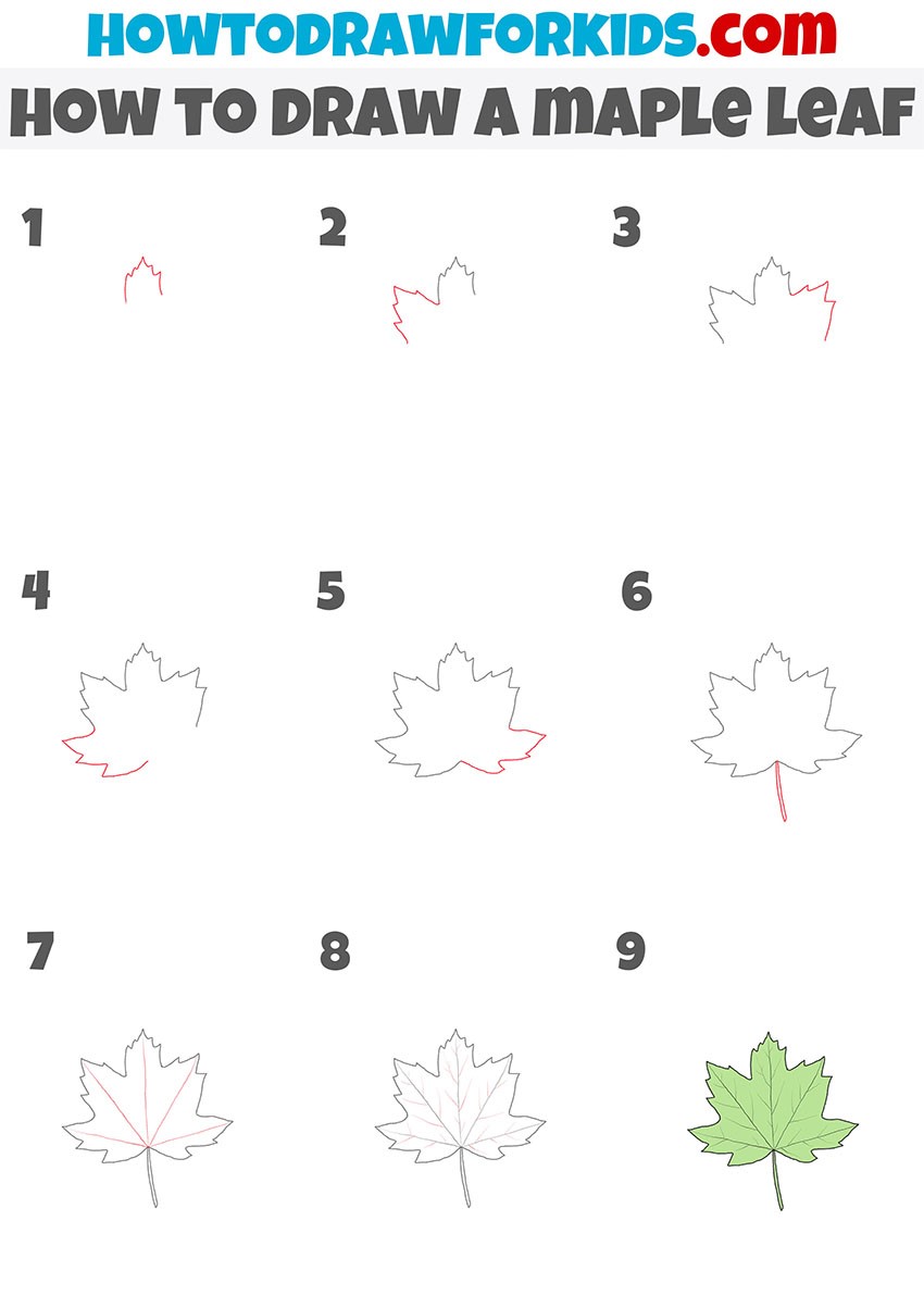 Jak Narysować Maple Leaf Idea 5