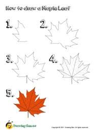 Jak Narysować Maple Leaf Idea 7