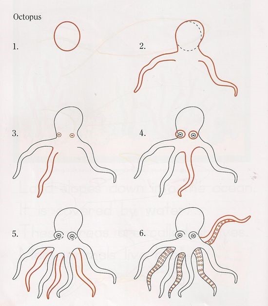 Jak Narysować Octopus idea 10