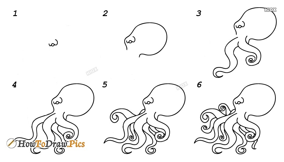 Jak Narysować Octopus idea 8