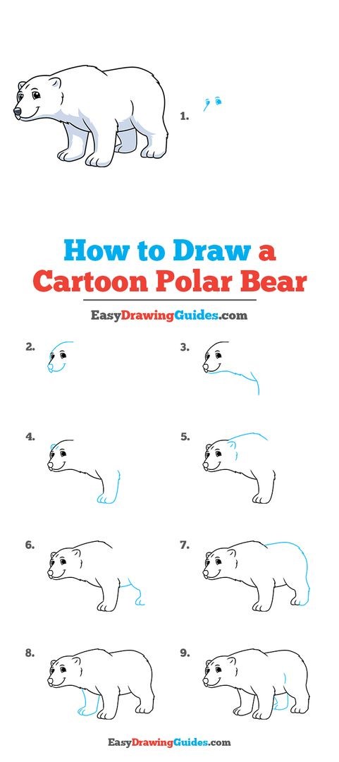 Jak Narysować Polar bear idea 3