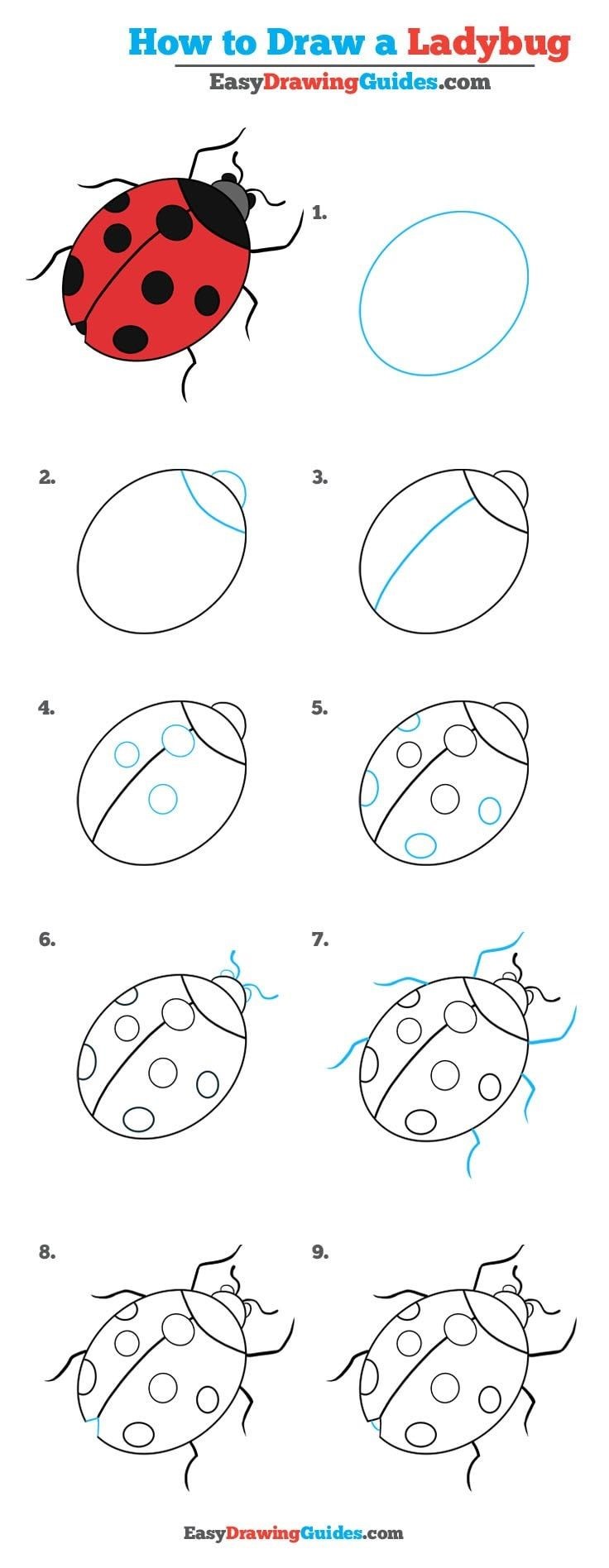 Jak Narysować A detailed step-by-step Ladybug