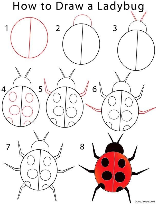 Jak Narysować A simple Ladybug