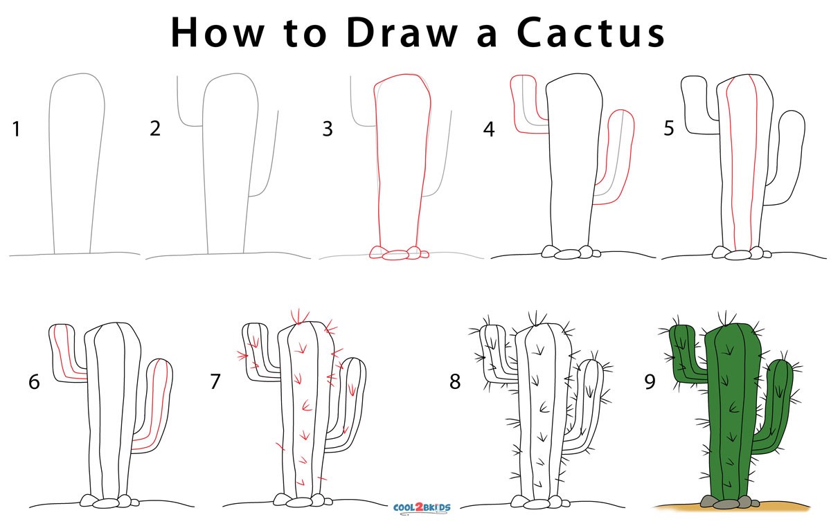 Jak Narysować Cactus idea 11