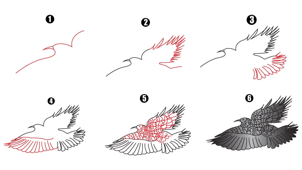 Jak Narysować Eagle idea 11