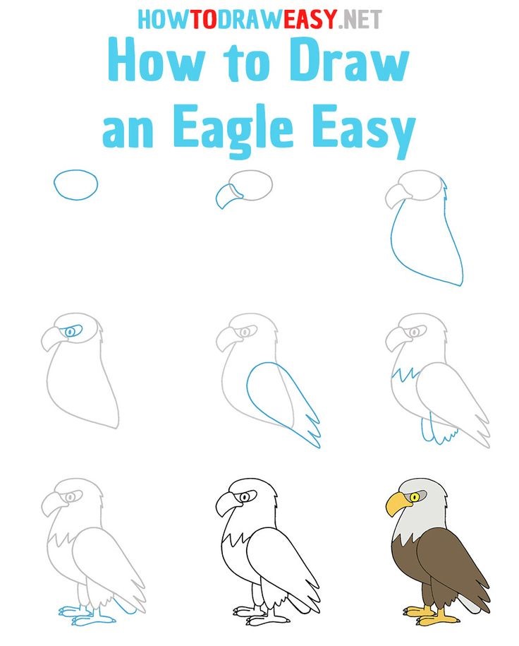 Jak Narysować Eagle idea 4