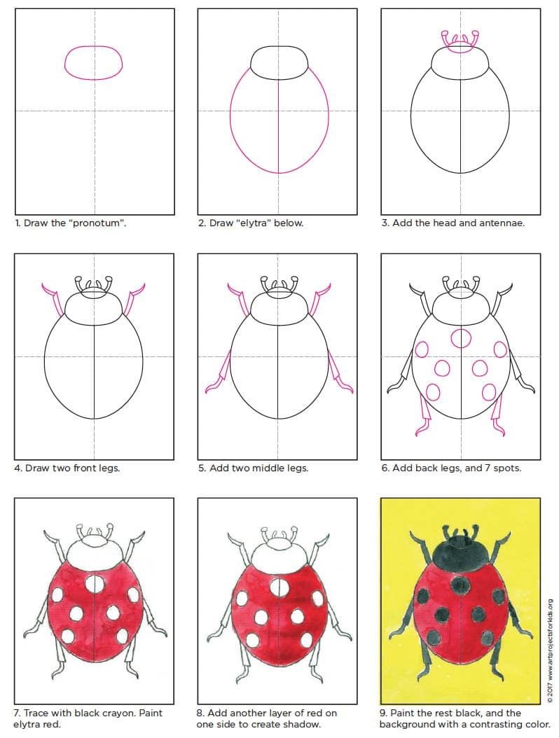 Jak Narysować Ladybug idea 4