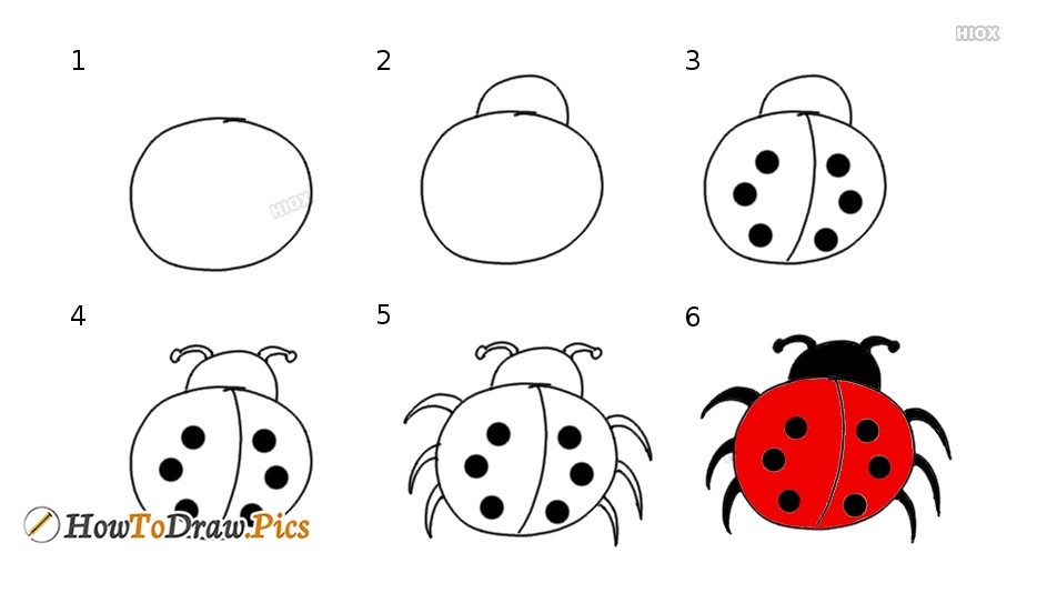 Jak Narysować Ladybug idea 9