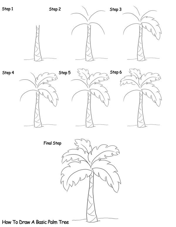 Jak Narysować Palm Tree Idea 10