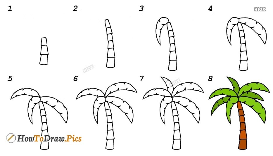 Jak Narysować Palm Tree Idea 4