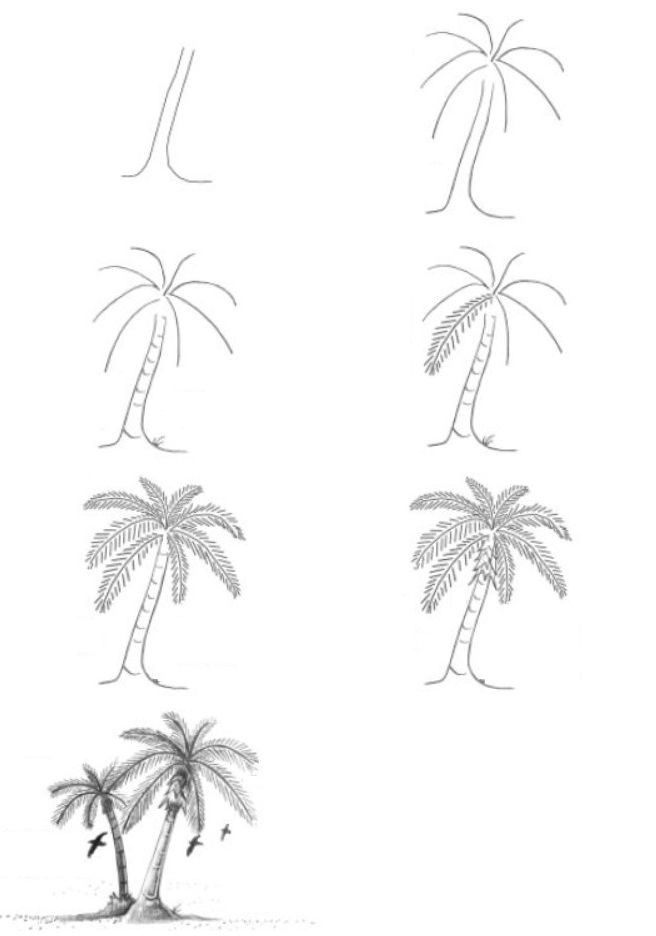 Jak Narysować Palm Tree Idea 5