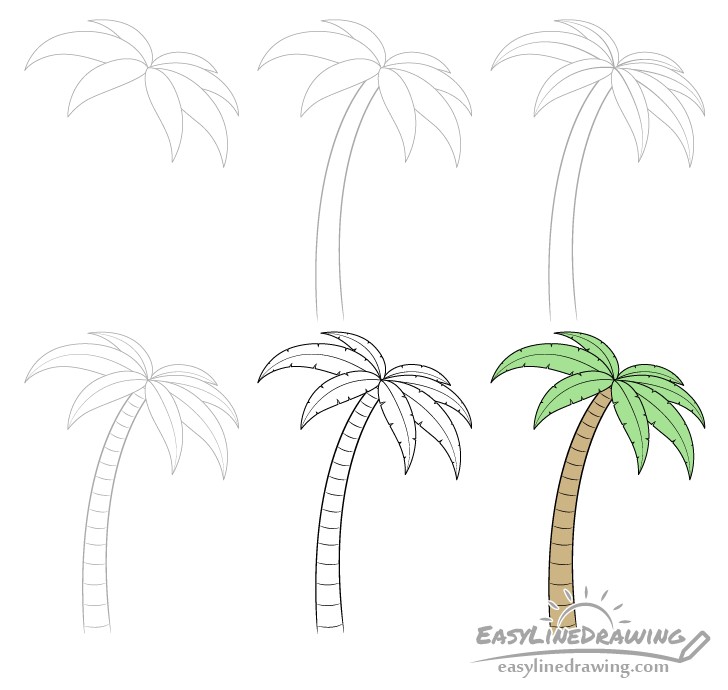 Jak Narysować Palm Tree Idea 7