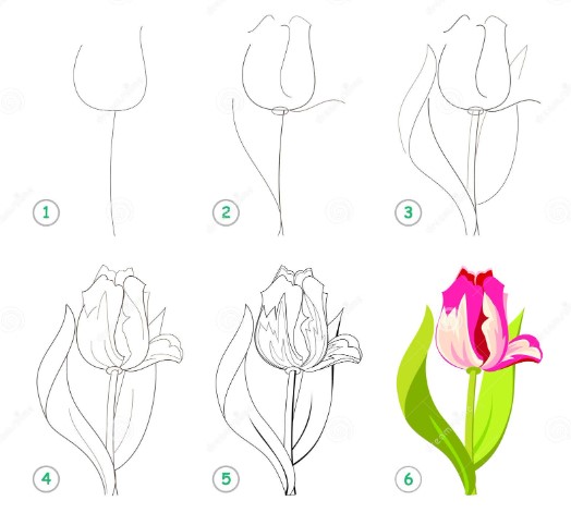 Tulip idea 10 Jak Narysować 