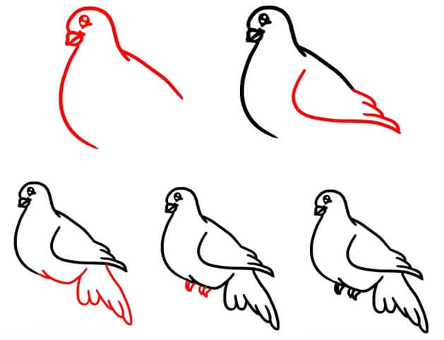 Jak Narysować Biały Gołąb
