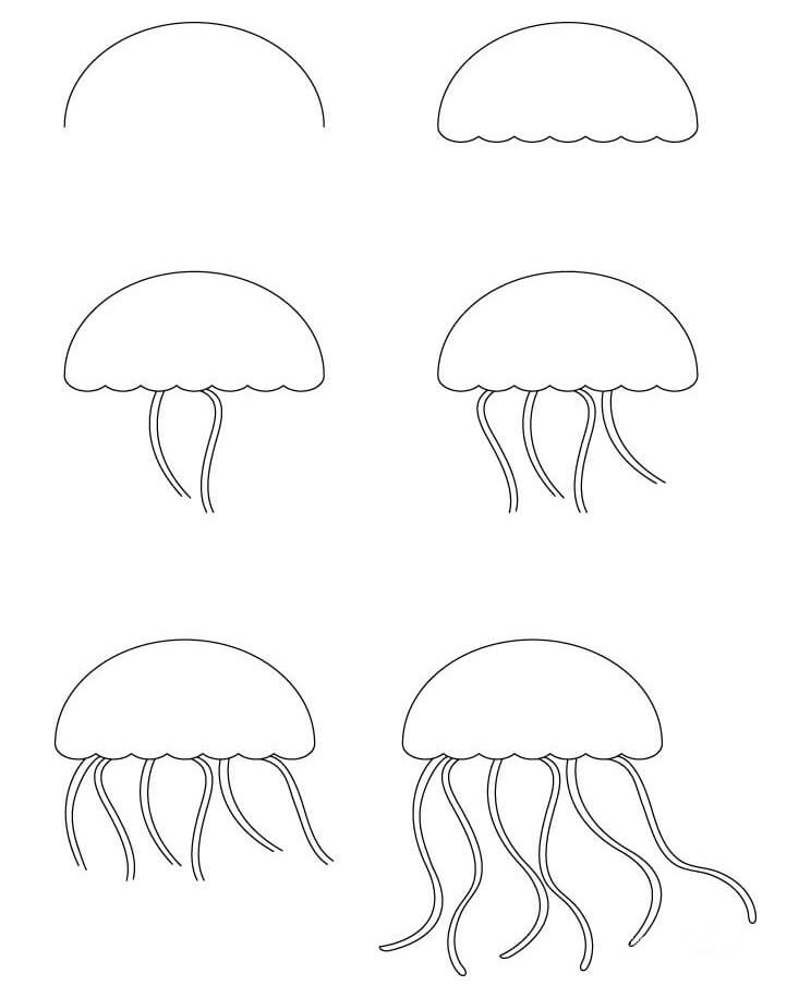 Jak Narysować Mała Meduza