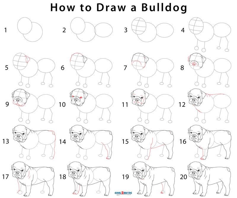 Jak Narysować Mały buldog