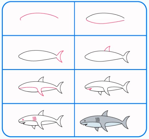 Jak Narysować Młody Rekin