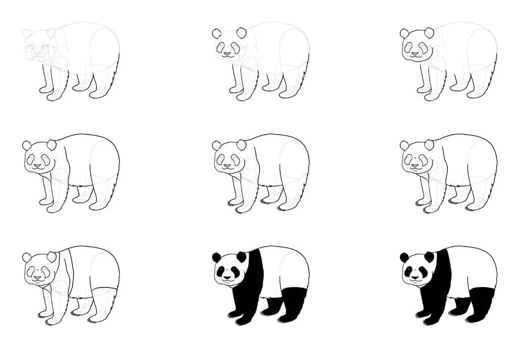 Jak Narysować Panda Superbohater